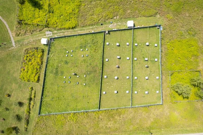 From directly above: shelters set out in a grid in each enclosure.