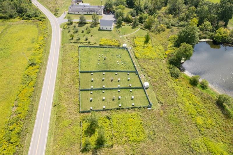 Liddell Field Station, photo 6