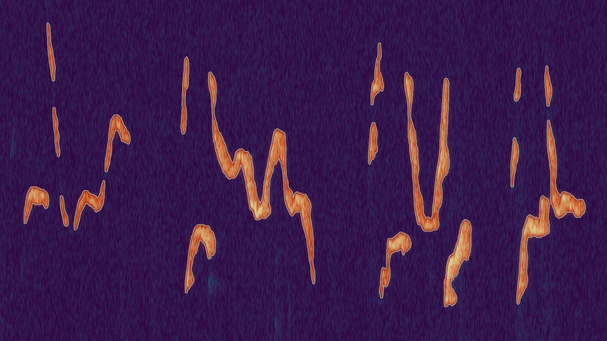 FieldNeuroToolbox (FNT)