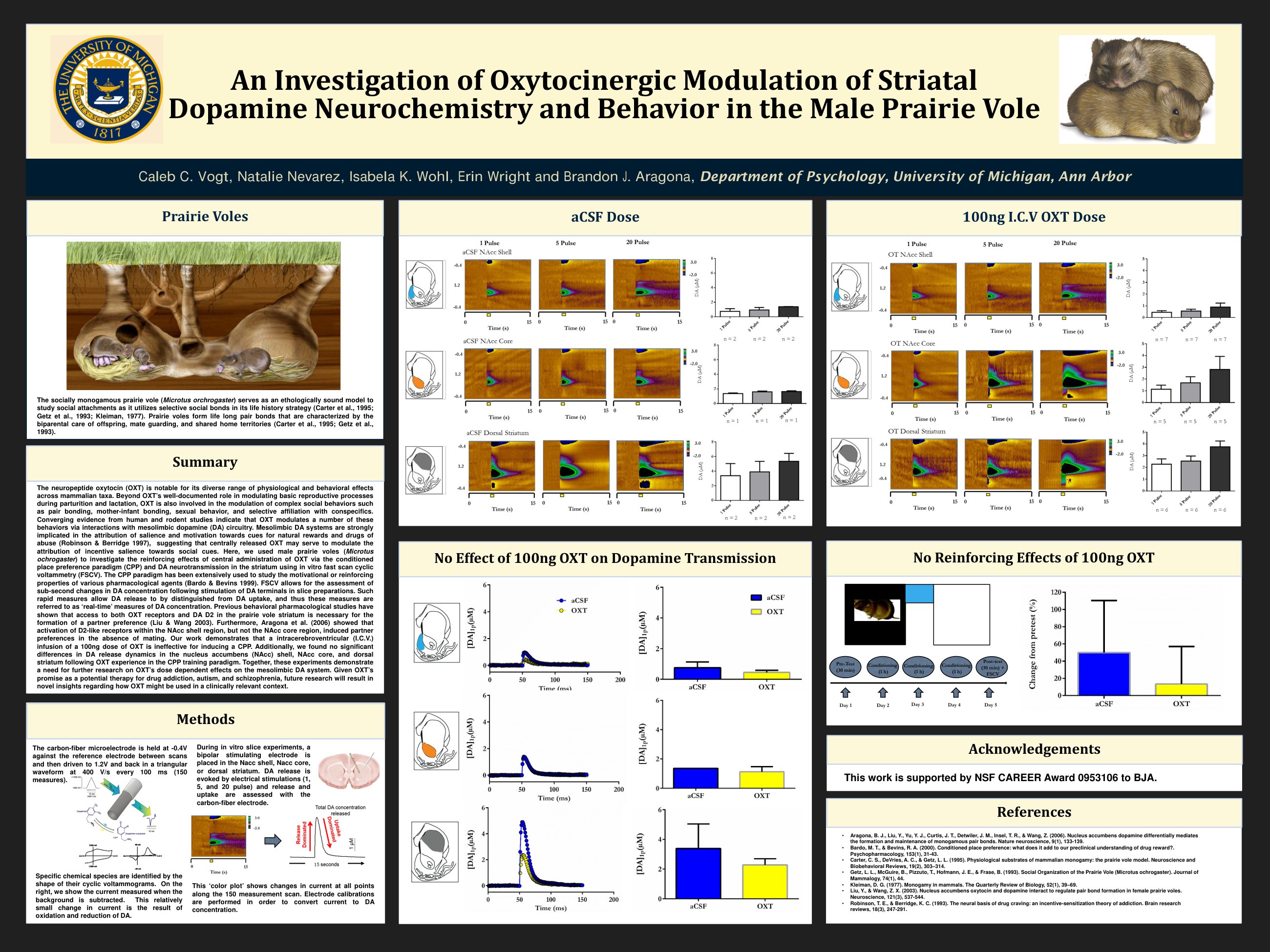 Poster: An investigation of oxytocinergic modulation of striatal dopamine neurochemistry and behavior in the male prairie vole, by Caleb C. Vogt, Natalie Nevárez, Isabella Wohl, Erin Wright and Brandon J. Aragona